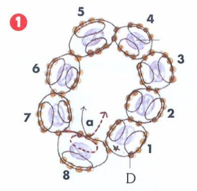 Schema Anello dei Desideri